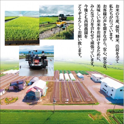 令和7年産 特別栽培米 ゆめぴりか みがき玄米 20kg(5kg×4) 【西間農園】