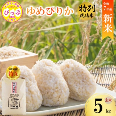 【先行受付】【西間農園】特別栽培米 ゆめぴりか みがき玄米 5kg【1月から2月上旬発送】