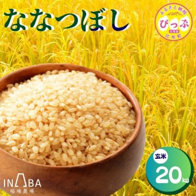 【先行受付】【稲場農場】ななつぼし 玄米 20kg【10月中旬より受付順に発送】