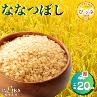 【先行受付】【稲場農場】ななつぼし 玄米 20kg 3回定期【10月中旬より受付順に発送】
