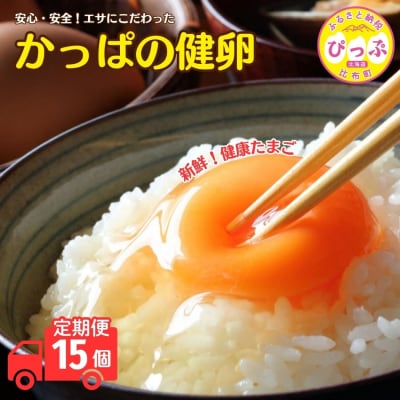 元気な鶏から産まれた健康なたまご!「かっぱの健卵」15個 3か月定期便【大熊養鶏場】