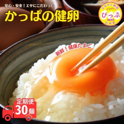 かっぱの健卵 30個 3か月定期便【大熊養鶏場】 鶏卵 卵 たまご 1006-006