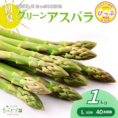 【2026年6月中旬発送】グリーンアスパラ Lサイズ 1kg【たかだ畑】1018-017