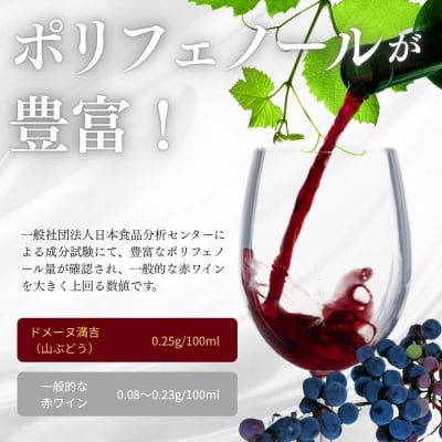 満吉 2025(750ml) 1本【ドメーヌ満吉】