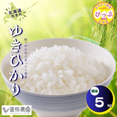 【令和8年産 新米先行受付】ゆきひかり 精米 5kg【菅原農産】