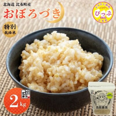 【令和8年産 新米先行受付】 特別栽培米 おぼろづき みがき玄米 2kg【西間農園】