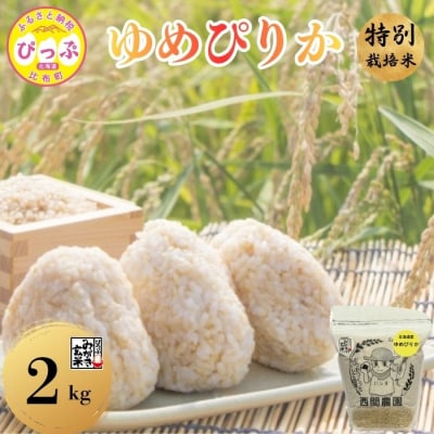 【令和8年産 新米先行受付】 特別栽培米 ゆめぴりか みがき玄米 2kg【西間農園】