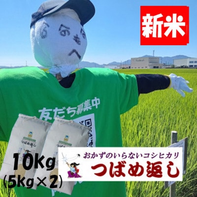 【8年産新米】おかずのいらないコシヒカリ「つばめ返し」白米10kg(5kg×2袋)