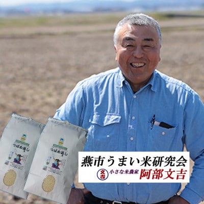 【8年産新米先行予約】おかずのいらないコシヒカリ「つばめ返し」白米10kg(5kg×2袋)