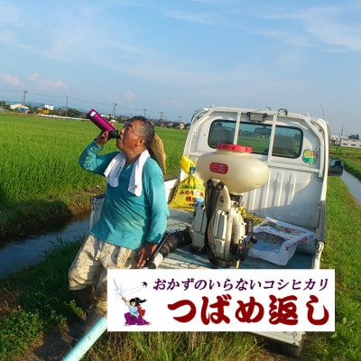 【8年産新米先行予約】おかずのいらないコシヒカリ「つばめ返し」白米10kg(5kg×2袋)