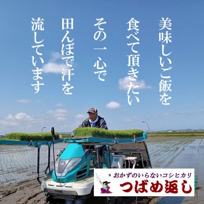 【8年産新米先行予約】おかずのいらないコシヒカリ「つばめ返し」白米10kg(5kg×2袋)