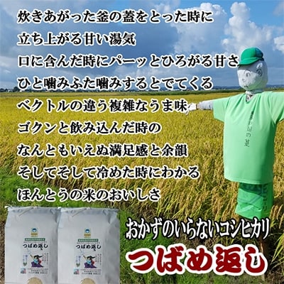 【7年産新米先行予約】おかずのいらないコシヒカリ「つばめ返し」10kg(5kg×2袋)