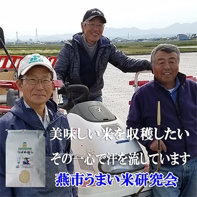 【7年産新米先行予約】おかずのいらないコシヒカリ「つばめ返し」8kg