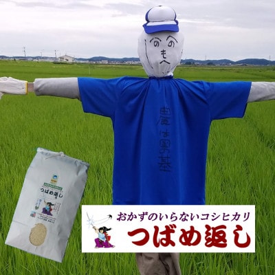 【8年産新米先行予約】おかずのいらないコシヒカリ「つばめ返し」白米8kg