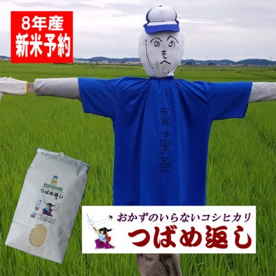 【8年産新米先行予約】おかずのいらないコシヒカリ「つばめ返し」白米8kg