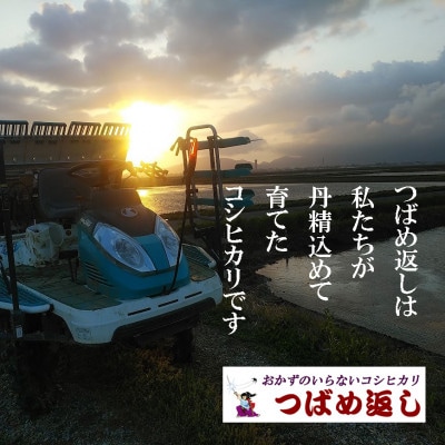 【8年産新米先行予約】おかずのいらないコシヒカリ「つばめ返し」白米8kg