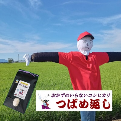 【8年産新米先行予約】おかずのいらないコシヒカリ「つばめ返し」白米5kg