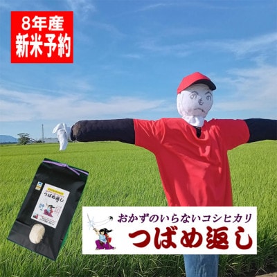 【8年産新米先行予約】おかずのいらないコシヒカリ「つばめ返し」白米5kg