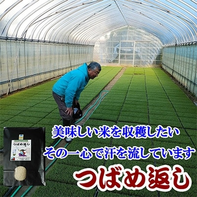 【7年産新米先行予約】おかずのいらないコシヒカリ「つばめ返し」5kg
