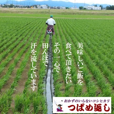 【8年産新米先行予約】おかずのいらないコシヒカリ「つばめ返し」白米5kg