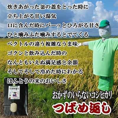 【7年産新米先行予約】おかずのいらないコシヒカリ「つばめ返し」5kg