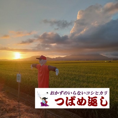 【8年産新米先行予約】おかずのいらないコシヒカリ「つばめ返し」白米5kg