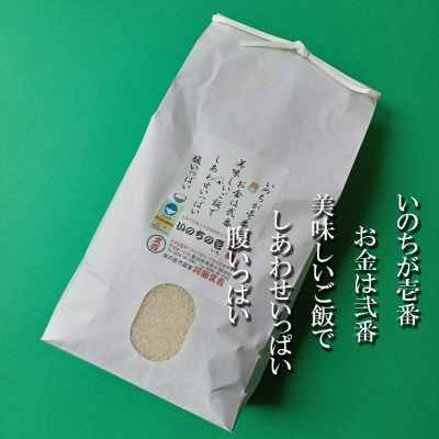 【7年産新米先行予約】大粒で甘味とうま味が際立つ「いのちの壱」精米5kg