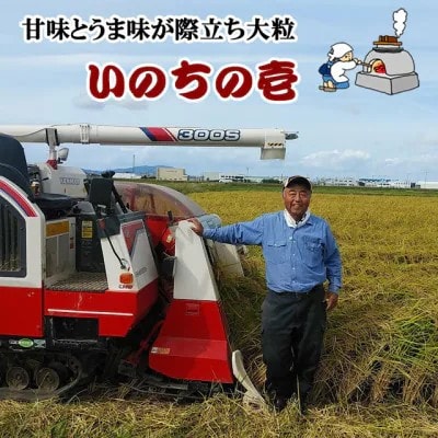 【7年産新米先行予約】大粒で甘味とうま味が際立つ「いのちの壱」精米5kg