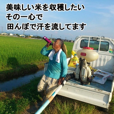 【令和7年産新米 先行予約】食べ比べ乙「いのちの壱・つばめ返し」各5kg