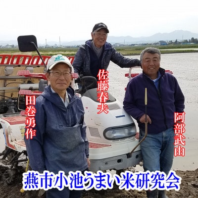 【令和7年産新米 先行予約】おかずのいらないコシヒカリ「つばめ返し」白米 20kg