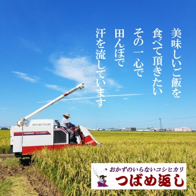 【8年産新米 先行予約】おかずのいらないコシヒカリ「つばめ返し」白米 20kg