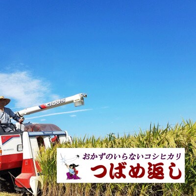 【8年産新米 先行予約】おかずのいらないコシヒカリ「つばめ返し」白米 20kg