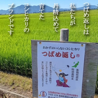 【8年産新米 先行予約】おかずのいらないコシヒカリ「つばめ返し」玄米 30kg