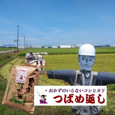 【8年産新米先行予約 】おかずのいらないコシヒカリ「つばめ返し」玄米 20kg