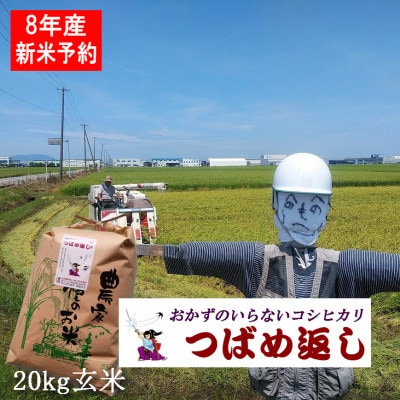 【8年産新米先行予約 】おかずのいらないコシヒカリ「つばめ返し」玄米 20kg
