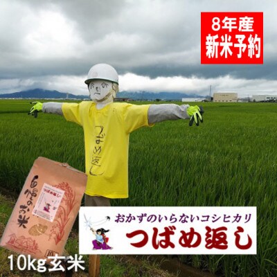 【8年産新米 先行予約】おかずのいらないコシヒカリ「つばめ返し」玄米 10kg