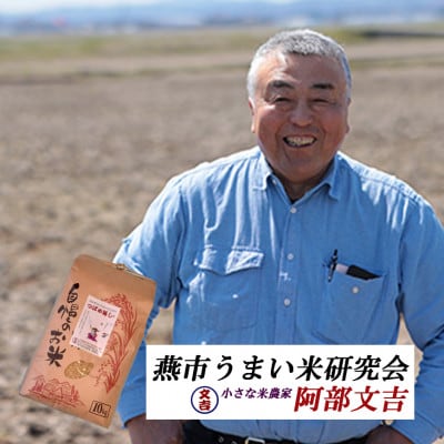 【8年産新米 先行予約】おかずのいらないコシヒカリ「つばめ返し」玄米 10kg