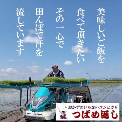 【8年産新米 先行予約】おかずのいらないコシヒカリ「つばめ返し」玄米 10kg