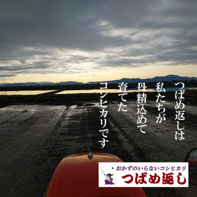 【8年産新米 先行予約】おかずのいらないコシヒカリ「つばめ返し」玄米 10kg