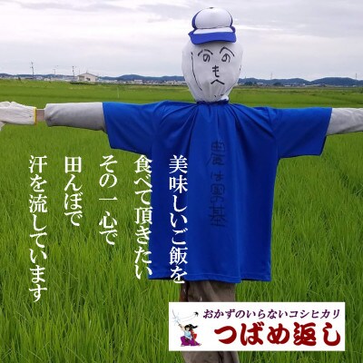 【8年産新米 先行予約】おかずのいらないコシヒカリ「つばめ返し」白米2kg
