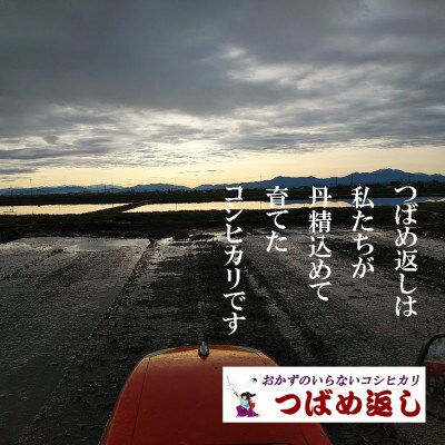 【8年産新米 先行予約】おかずのいらないコシヒカリ「つばめ返し」白米2kg