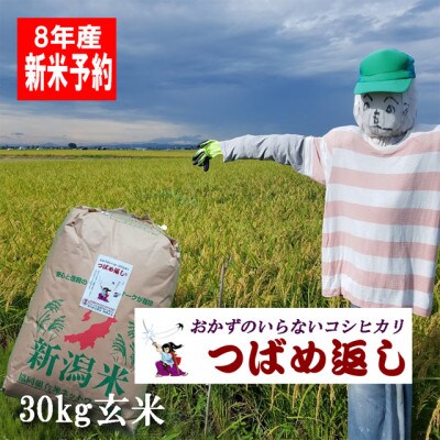 【8年産新米 先行予約】おかずのいらないコシヒカリ「つばめ返し」玄米 30kg 未検査米