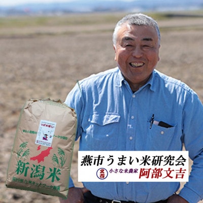 【8年産新米 先行予約】おかずのいらないコシヒカリ「つばめ返し」玄米 30kg 未検査米