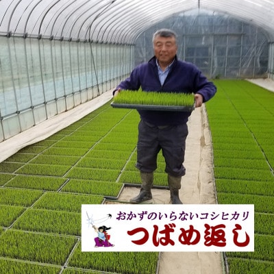 【8年産新米 先行予約】おかずのいらないコシヒカリ「つばめ返し」玄米 30kg 未検査米