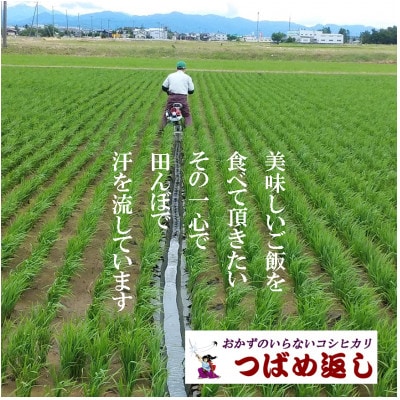【8年産新米 先行予約】おかずのいらないコシヒカリ「つばめ返し」玄米 30kg 未検査米