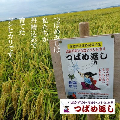 【8年産新米 先行予約】おかずのいらないコシヒカリ「つばめ返し」玄米 30kg 未検査米