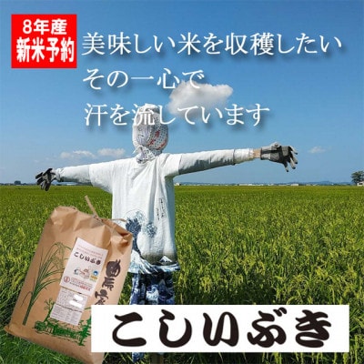 【8年産新米 先行予約】コシヒカリとはひと味違う美味しさ「こしいぶき」白米20kg