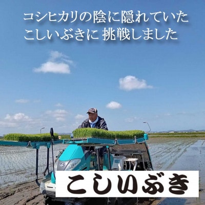 【8年産新米 先行予約】コシヒカリとはひと味違う美味しさ「こしいぶき」白米20kg