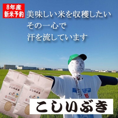 【8年産新米 先行予約】コシヒカリとはひと味違う美味しさ「こしいぶき」白米10kg(5kg×2袋)