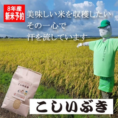 【8年産新米 先行予約】コシヒカリとはひと味違う美味しさ「こしいぶき」白米5kg